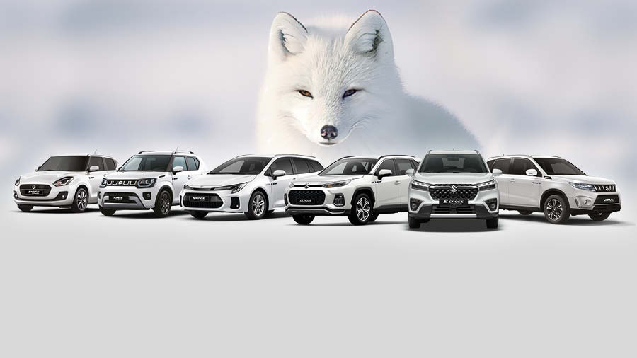 Die neuen Suzuki Die neuen Suzuki